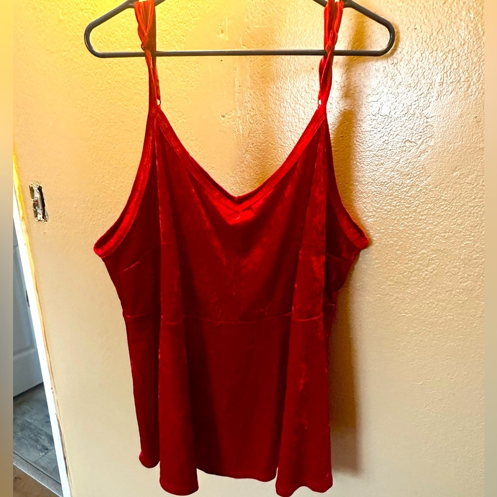 Torrid top